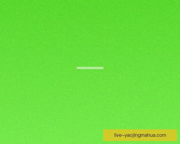 魅力直播：点亮你的夜晚，点燃你的梦想